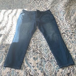 American Eagle Dream Jean Size 14 Short
